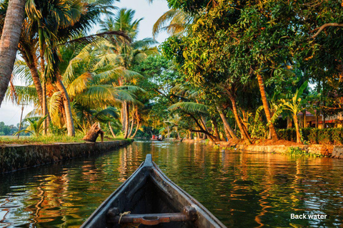 Kerala : visite privée de 5 jours avec séjour en houseboat