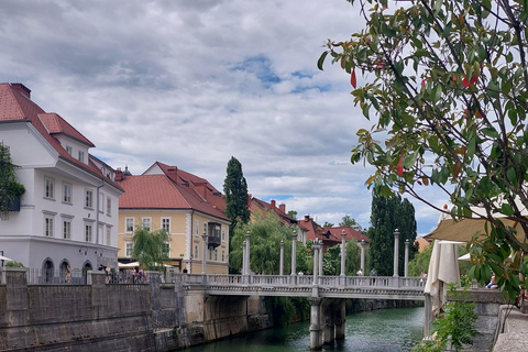 Erkunde Ljubljana mit einem lizenzierten Tourguide (kleine Gruppen)