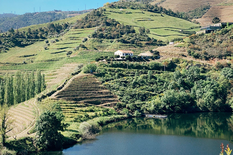 Dolina Douro: wycieczka prywatna z degustacją wina i lunchem