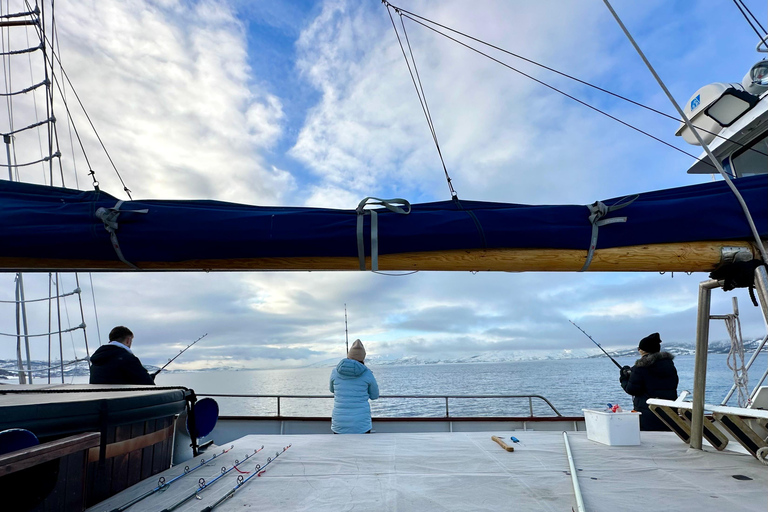 Tromsø : Croisière dans les fjords pour la pêche et les fruits de mer dans l'Arctique à bord d'un yacht de luxeTromsø : Croisière de luxe pour la pêche et les fruits de mer