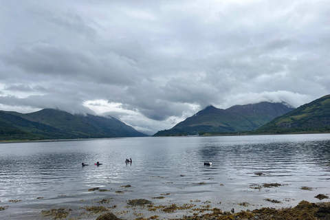 Stirling: Open water snorkel tour