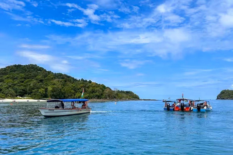 Langkawi: 4 Hours Private Mangrove Kilim Geoforest Boat Tour