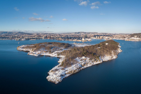 Oslo Island Hopping Guided Tour with Public Ferry & Transfer
