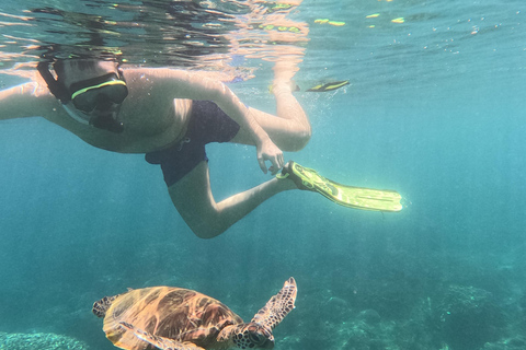 Excursion de plongée en apnée dans les îles Dimaniyat l&#039;après-midiexcursion en bateau privé