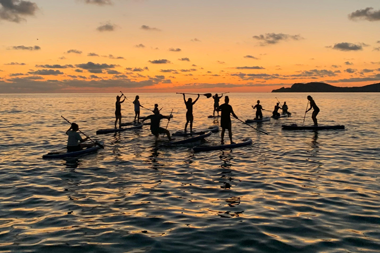 Ibiza: Paddle Board Zonsondergang Tour