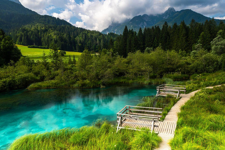 From Bled/Bohinj: Julian Alps & Italy Day Trip with Guide