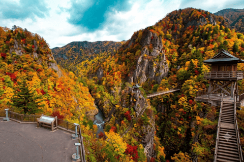Sapporo: Hoheikyo Dam (丰平峡大坝), Jozankei & Outlet Tour