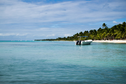 From Punta Cana: Saona Island Tour by Catamaran with Open Bar and Buffet Option with transportation from Punta Cana