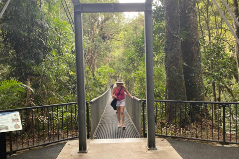 Floresta tropical de Daintree: Cruzeiro pelo rio e caminhada pela floresta tropical