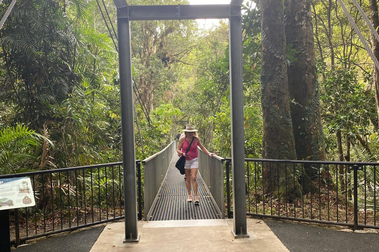 Daintree Rainforest: River Cruise & Rainforest Walk