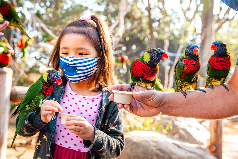 Acuario del Pacífico, LA: ticket sin colas en la taquilla