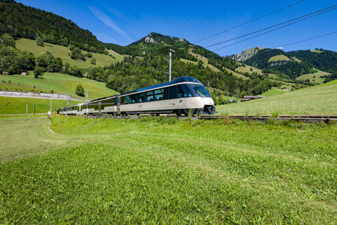 Zurich: Hardcore Swiss Train Tour–4 Scenic Railways in 1 day Excluding Train Tickets