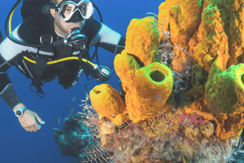 Aqaba : Cours de plongée sous-marine ( PADI )