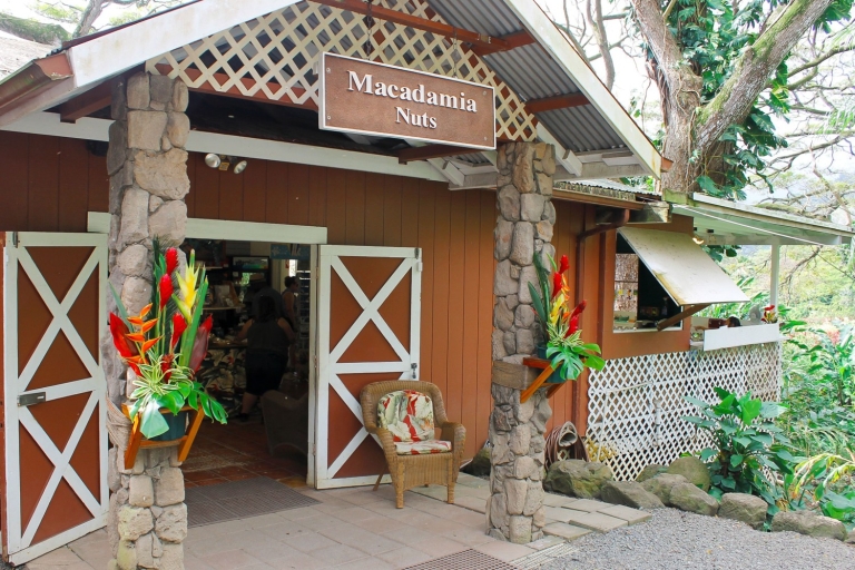 Desde Waikiki: tour de esnórquel en Circle IslandDesde Waikiki: excursión de un día a Oahu con almuerzo y esnórquel