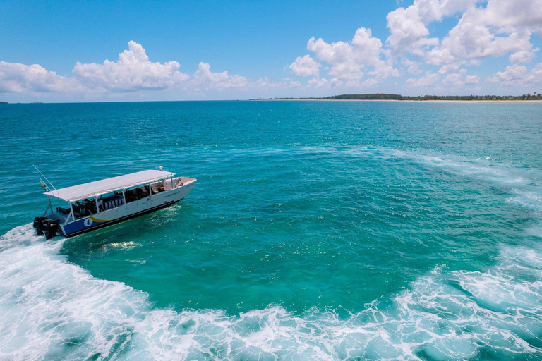 Zanzibar: Nyange Sandbank & Snorkelling tour with BBQ lunch With Meeting Point