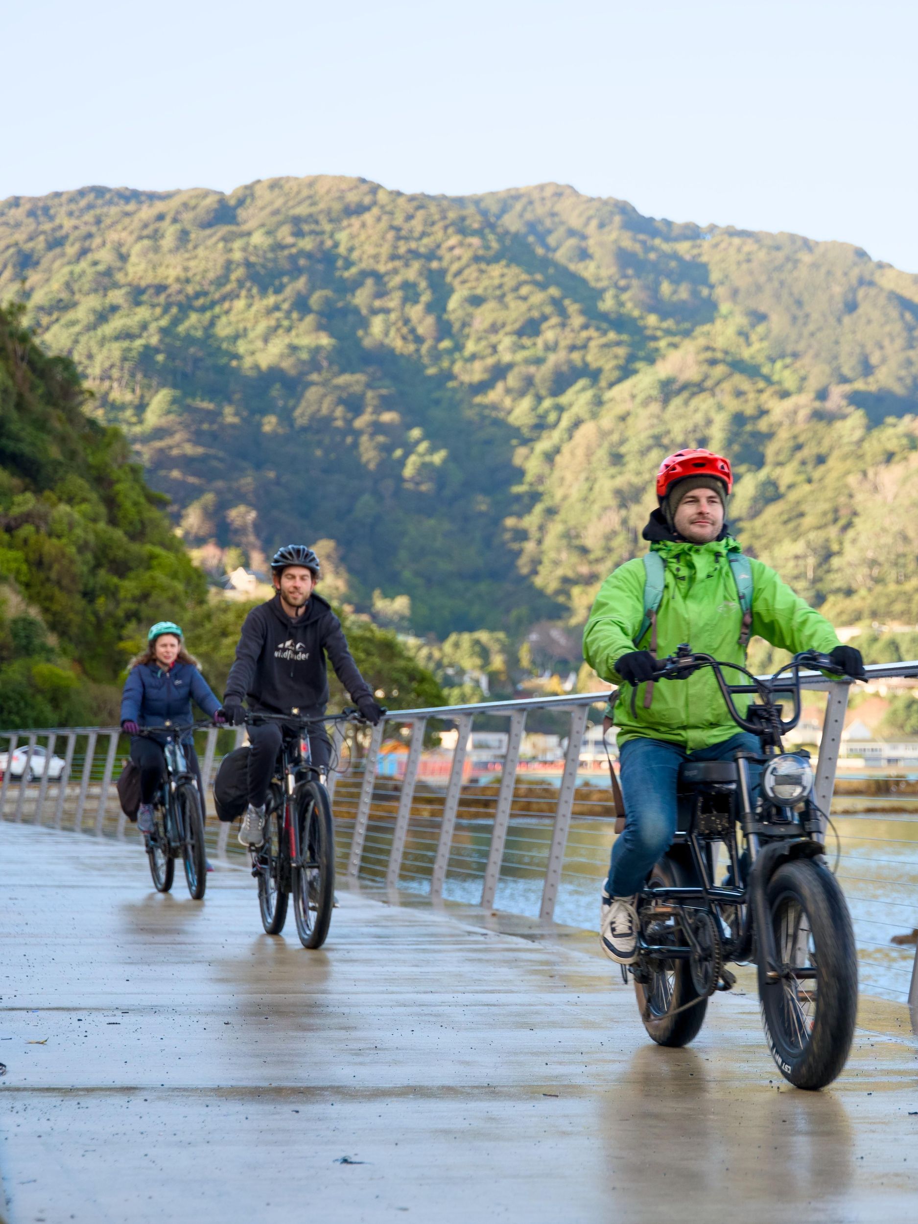 Wellington: E-Bike-Tour rund um den Hafen, dann Rückfahrt mit der Fähre