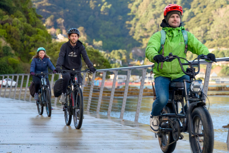 Wellington: eBike around the Harbour then Ferry back