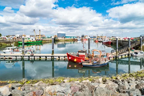 Dublin Great Famine Tour with Fast-Track EPIC Museum Tickets