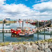 Dublin Great Famine Tour with Fast-Track EPIC Museum Tickets