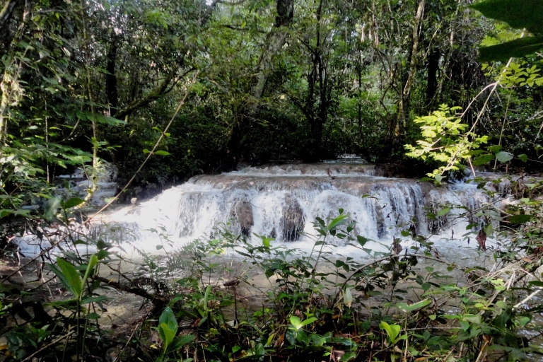 Lacandon Jungle Adventure en de archeologische vindplaats Bonampak
