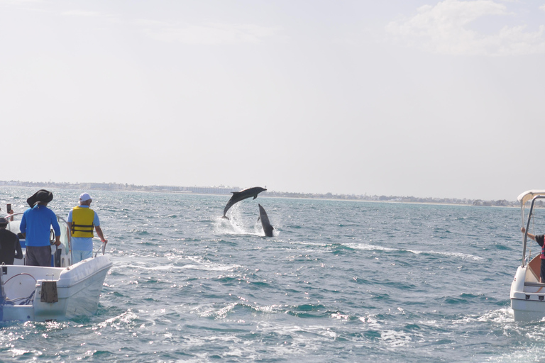 Djerba: Half-Day Boat Trip, Dolphin Watching, Swimming, and Lunch