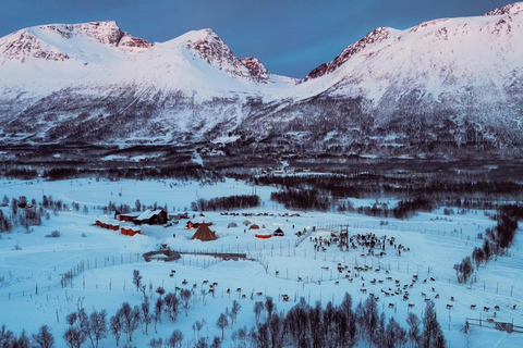 From Tromsø: Sami Culture and Reindeer Feeding