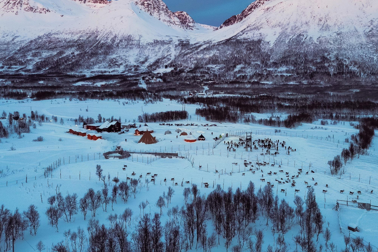 From Tromsø: Sami Culture and Reindeer Feeding