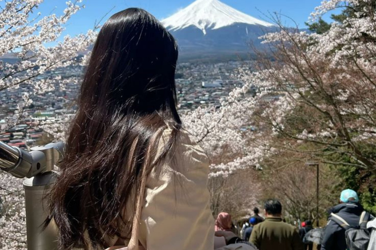 Tokyo: Mount Fuji Must See Private Tour Adjustable Itinerary