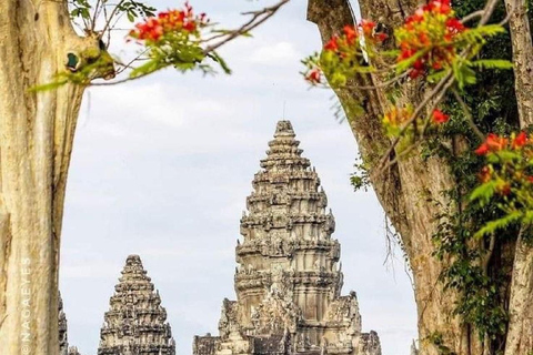 Siem Reap: Angkor 1-dniowa wycieczka grupowa z włoskim przewodnikiemWycieczka w małej grupie w języku włoskim