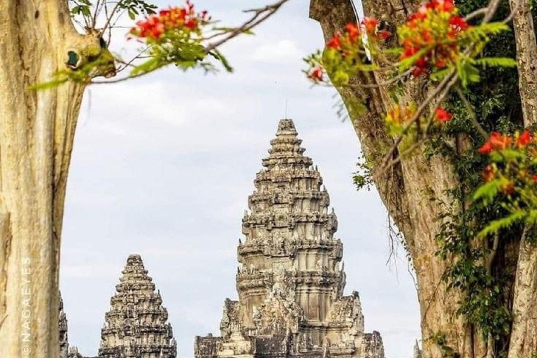 Siem Reap: Angkor 1-dniowa wycieczka grupowa z włoskim przewodnikiemWycieczka w małej grupie w języku włoskim