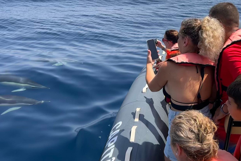 Portimão: Tour en barco con Delfines y Vida Marina con BiólogoTour privado