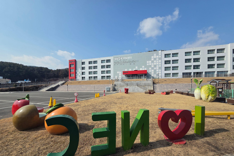 [June Exclusive] Busan BTS Army Pilgrimage Hometown Tour Shared Tour, Meet at Seomyeon Station