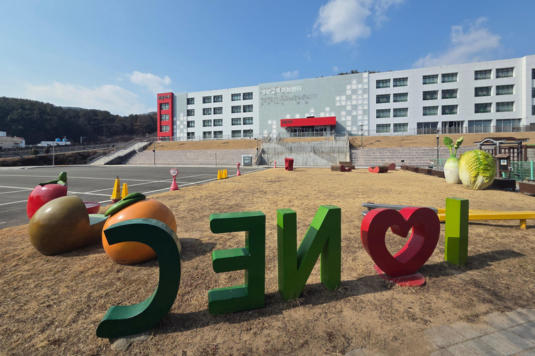 [June Exclusive] Busan BTS Army Pilgrimage Hometown Tour Shared Tour, Meet at Seomyeon Station