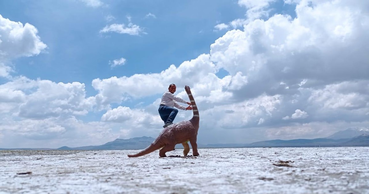 From Arequipa: half-day trip to the salt lake salinas via the Chiguata ...
