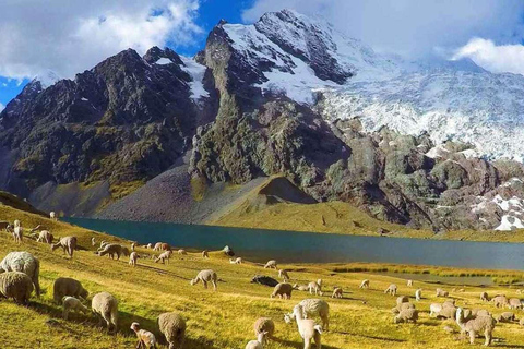 5 dni i 4 noce Ausangate Apu Trail Trek