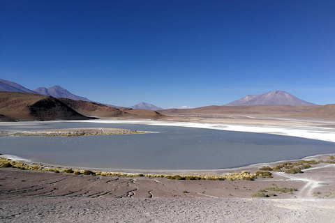 Tour Salar de Uyuni 3D/2N /Laguna Colorada/Geiser/Flamingos