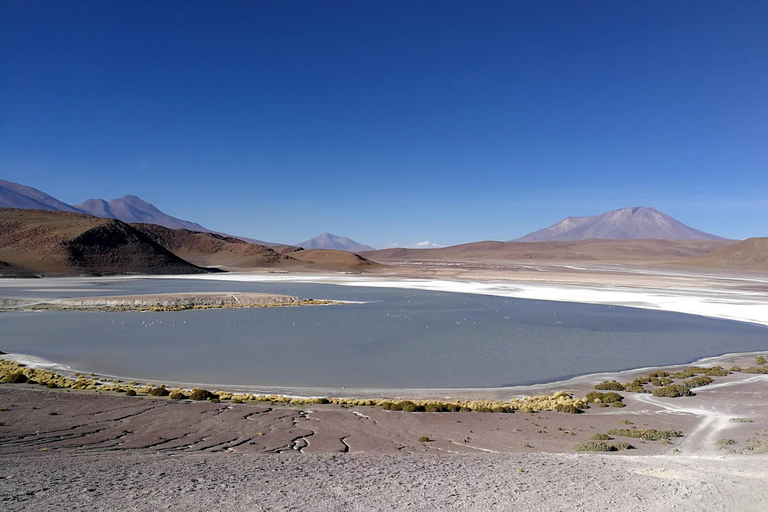 Tour Salar de Uyuni 3D/2N /Laguna Colorada/Geiser/Flamingos