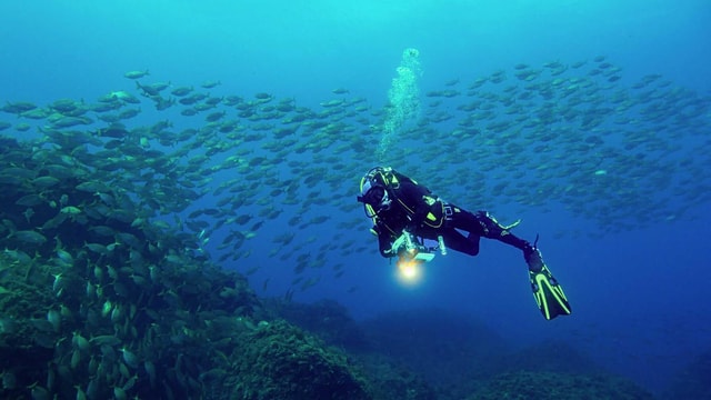 Double Dive in Terceira Island - Azores