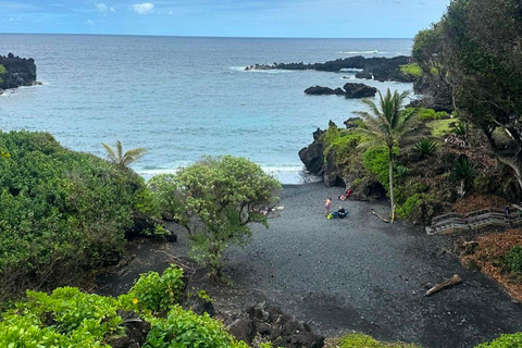 Maui Sea Turtles & Waterfalls: Full-Day Road to Hana Tour