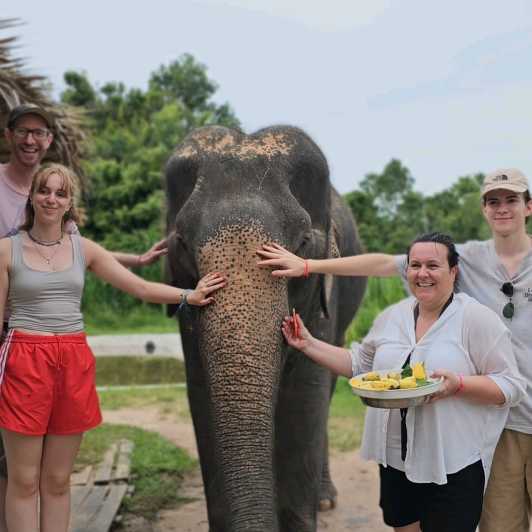 Koh Samui: santuario degli elefanti e tour nella giungla con pranzo