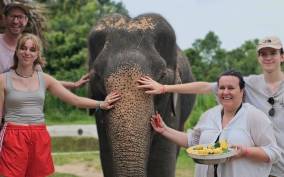 Koh Samui: Elephant Sanctuary and Jungle Tour with Lunch