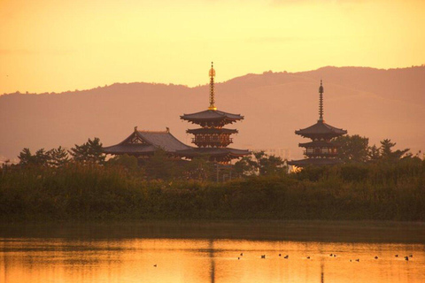 From Kyoto/Osaka: Nara Private Tour with Guide and Vehicle Minivan (Up to 4 PAX) from Osaka