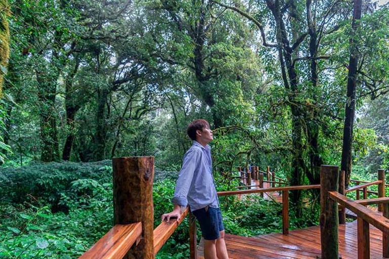 Chiang Mai: lo más destacado de Doi Inthanon (sin senderismo)Chiang Mai: Doi Inthanon Private Highlights (No Hiking)