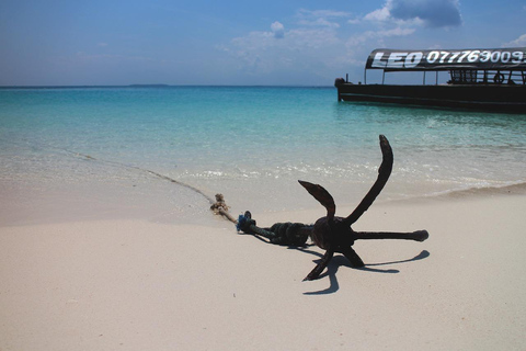 Mnemba and dolphin tour from kendwa or nungwi