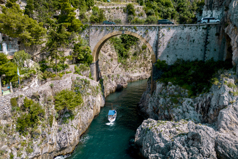 Experiência de barco privado de 7 horas a partir de Positano