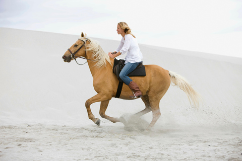 Doha: Private Beach Horse Riding Experience with Pickup Private Seaside Horse Riding