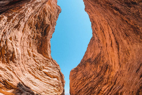 From Salta: Cafayate Full-Day Tour with Wine Tasting