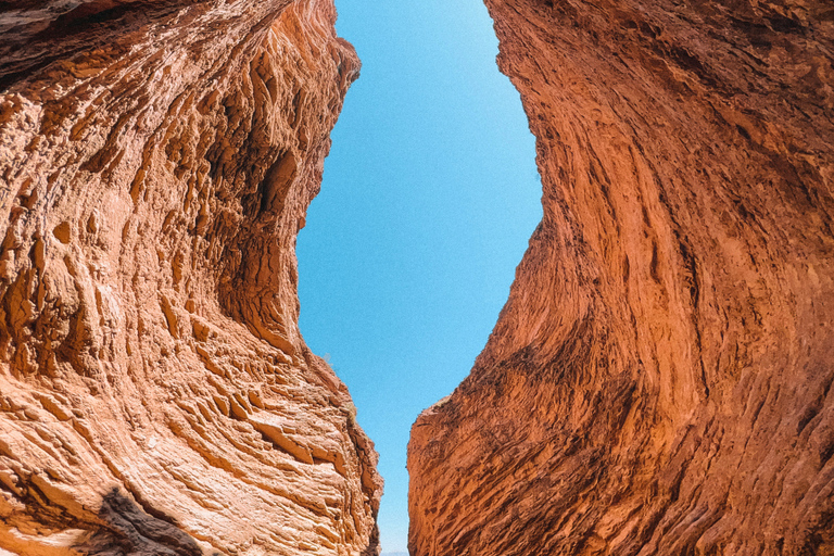 From Salta: Cafayate Full-Day Tour with Wine Tasting