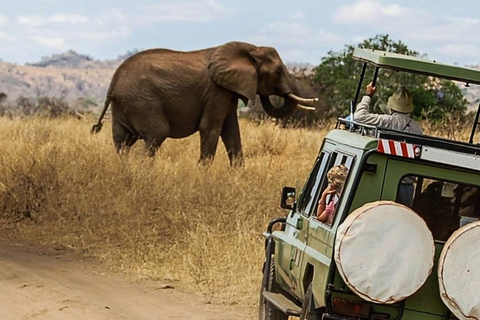 Tsavo East;2 days 1 night Amazing Safari. private tours only