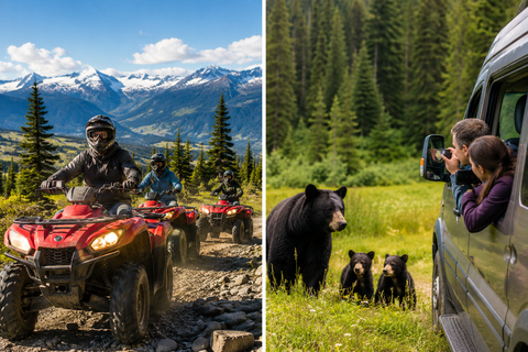 Whistler ATV Thrills or Wild Bear Viewing Adventure Bear Viewing Scenic Adventure Tour